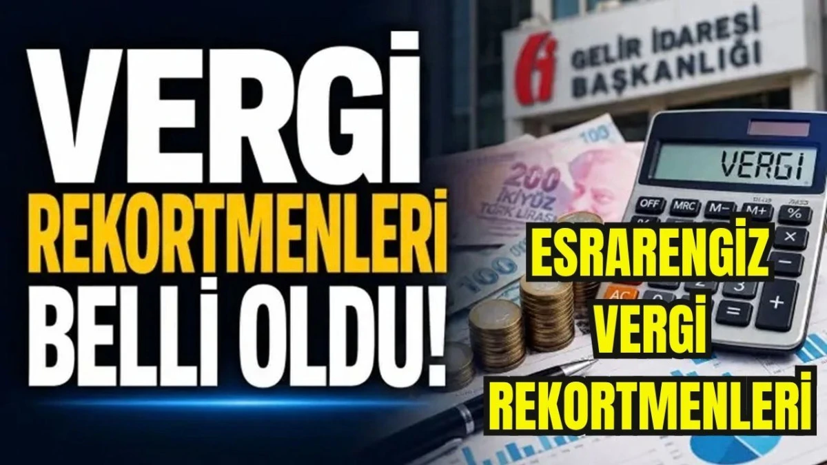 40 Vergi Rekortmeninden 21'i İsmini Gizledi!