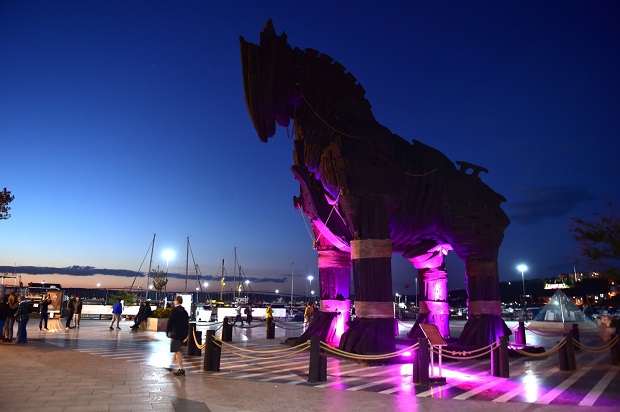 Truva Atı Pembe Renge B&uuml;r&uuml;nd&uuml;