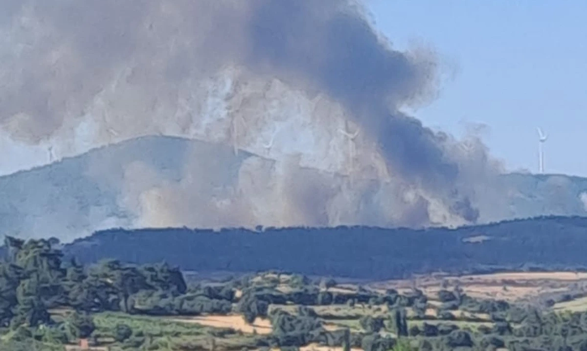 Bayrami&ccedil;'te Orman Yangınına M&uuml;dahale S&uuml;r&uuml;yor