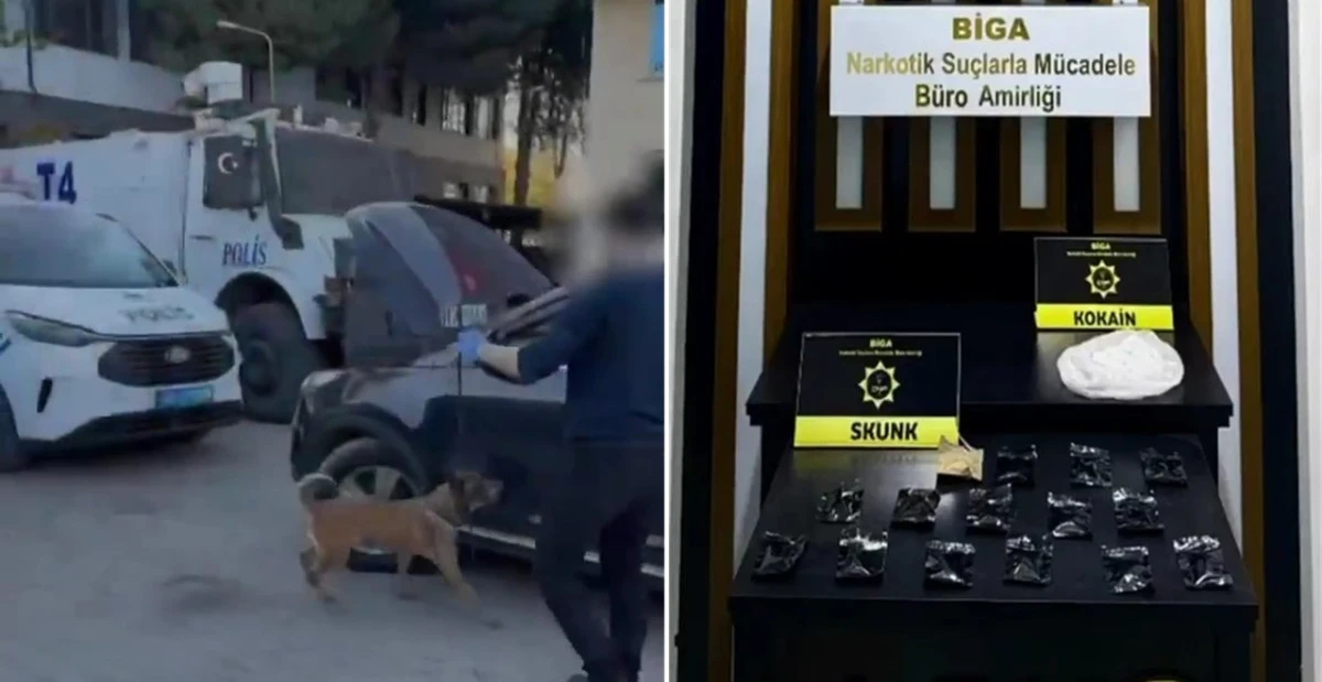 Biga'da Zehir Taciri 1 Kişi Tutuklandı