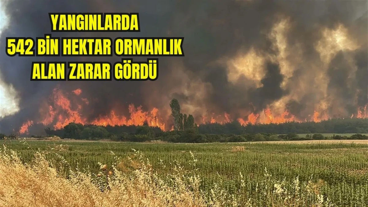 &Ccedil;anakkale&rsquo;de 2 Ayda 44 Orman Yangını &Ccedil;ıktı!