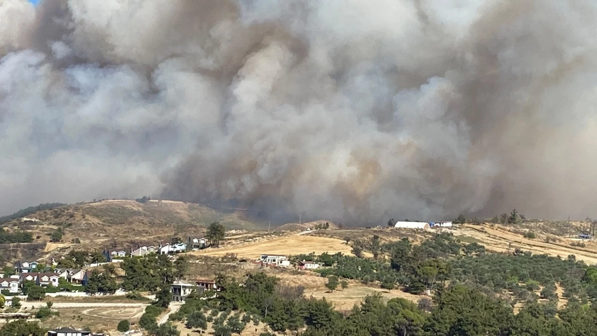 &Ccedil;anakkale&rsquo;de Korkutan Orman Yangını!