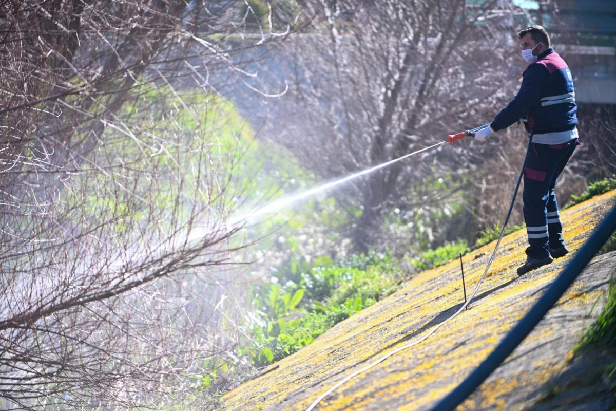 &Ccedil;anakkale&rsquo;de Sineklerle 'Bahar' M&uuml;cadelesi Başladı