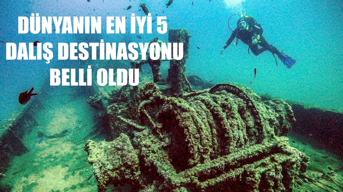 Gelibolu Tarihi Sualtı Parkı T&uuml;rkiye'yi &Ouml;ne &Ccedil;ıkardı