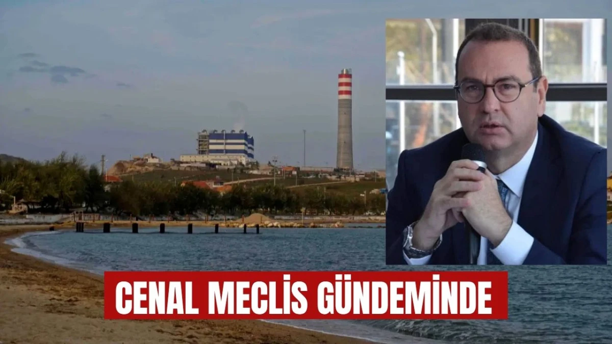Kanser, K&uuml;l ve Kirlilik Hesabı Soruldu!