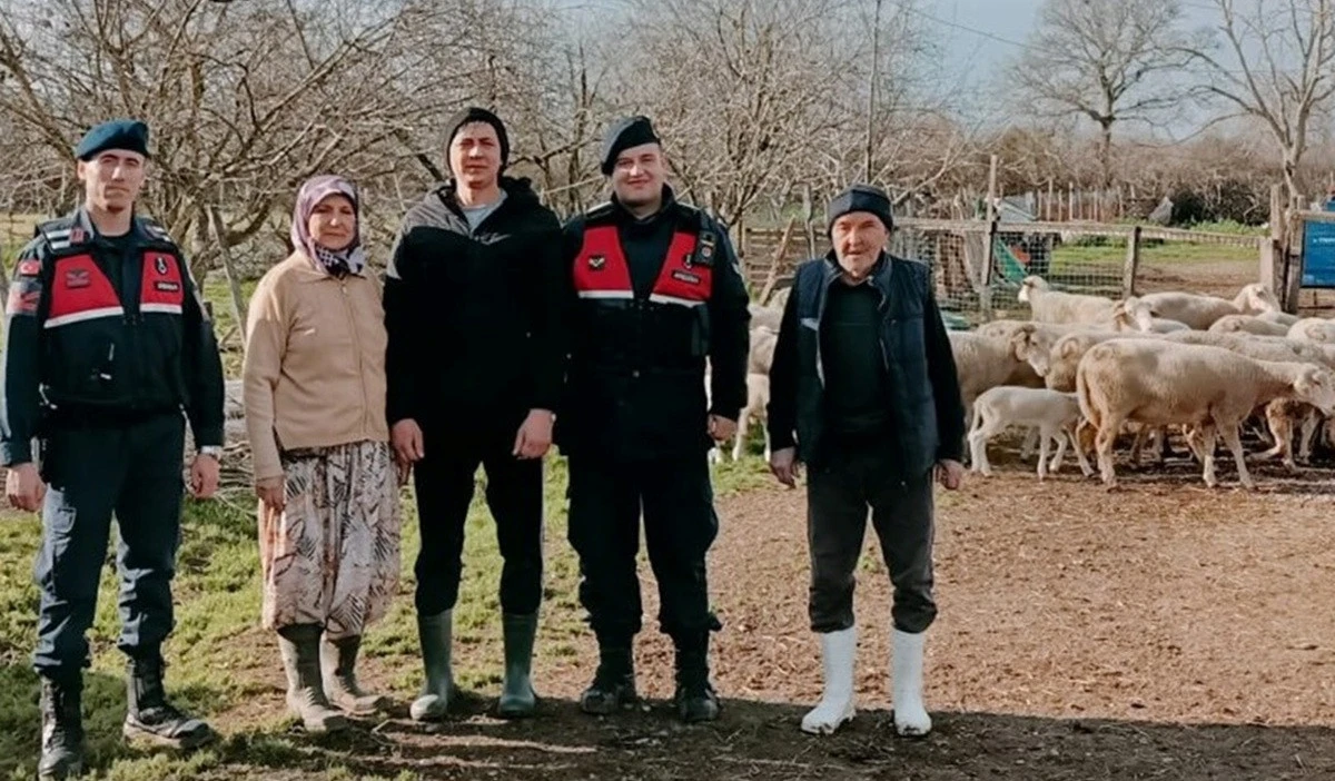 Kaybolan Hayvanlar Jandarma ve Drone Desteğiyle Bulundu