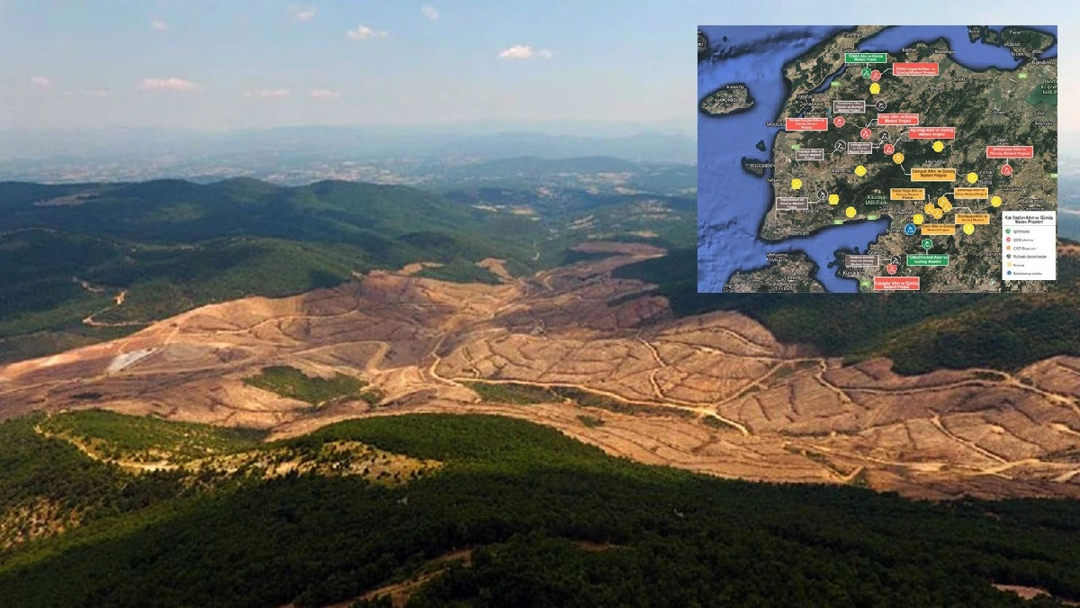 Kazdağları Yağmalanıyor