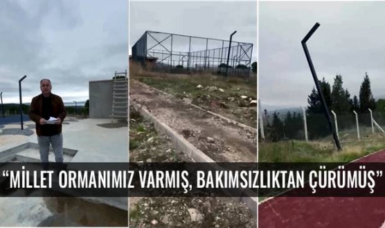 &ldquo;&Ccedil;anakkale&rsquo;mize Millet Ormanı Yapılmış, Kimsenin Haberi Yok&rdquo;