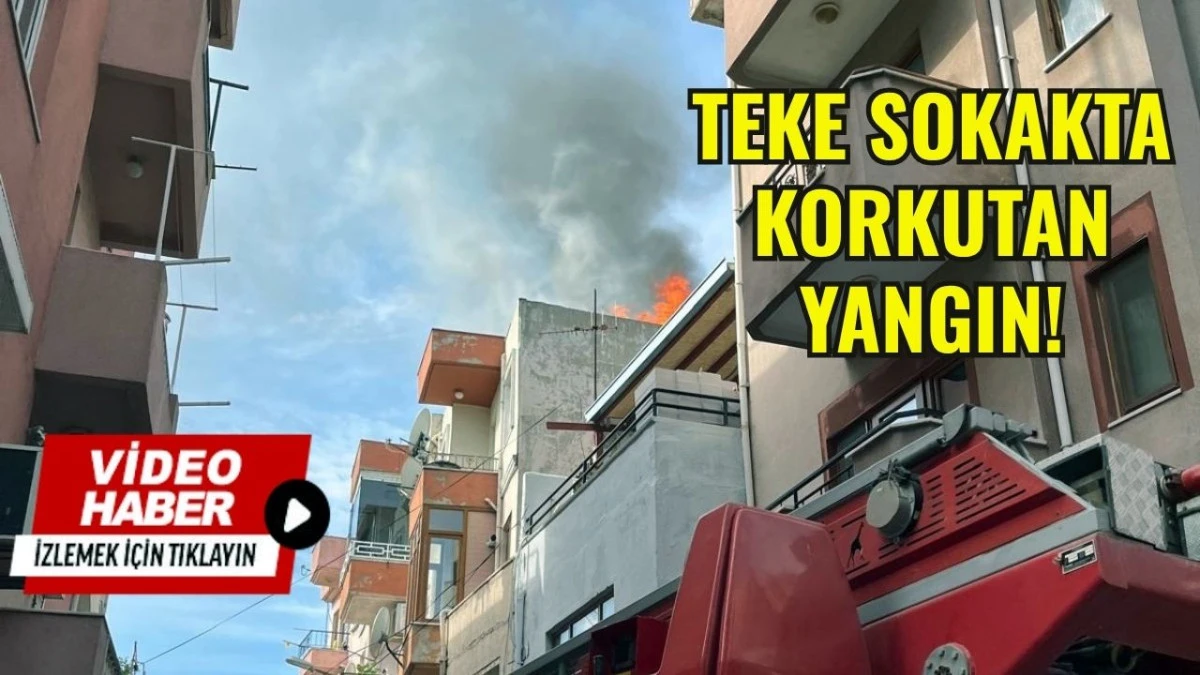 Teke Sokak'ta Yangın Paniği!