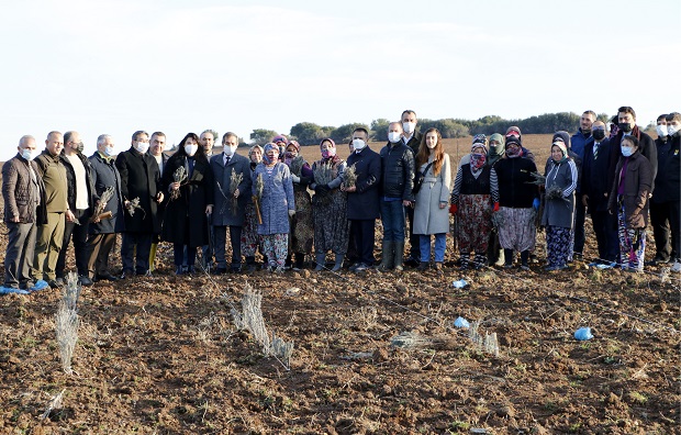 Troya'nın Ziyaret&ccedil;ilerini Lavanta Tarlaları Karşılayacak