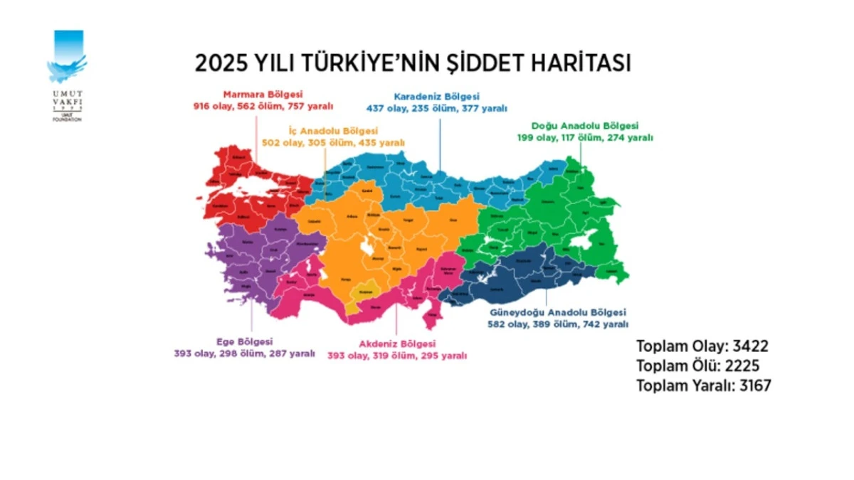 T&uuml;rkiye Silahlanıyor, Gen&ccedil;lik Şiddet Sarmalına D&uuml;ş&uuml;yor