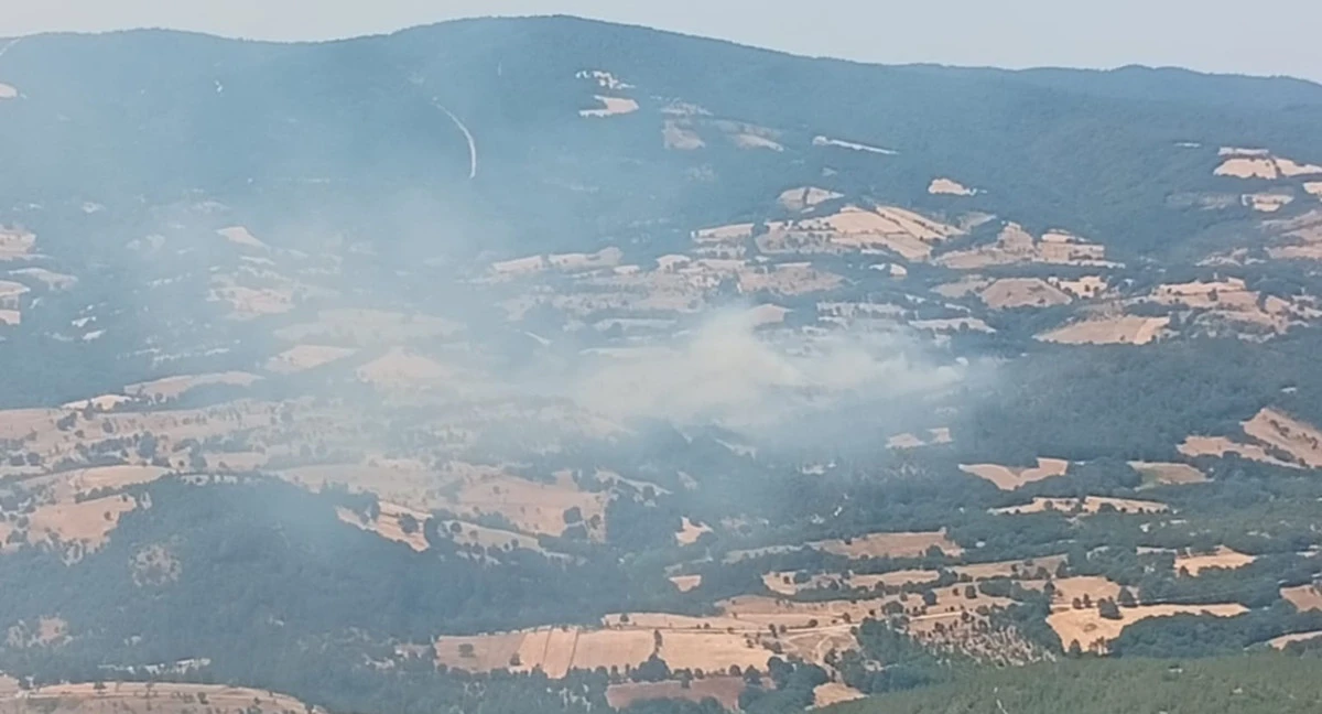Yenice'de Orman Yangını